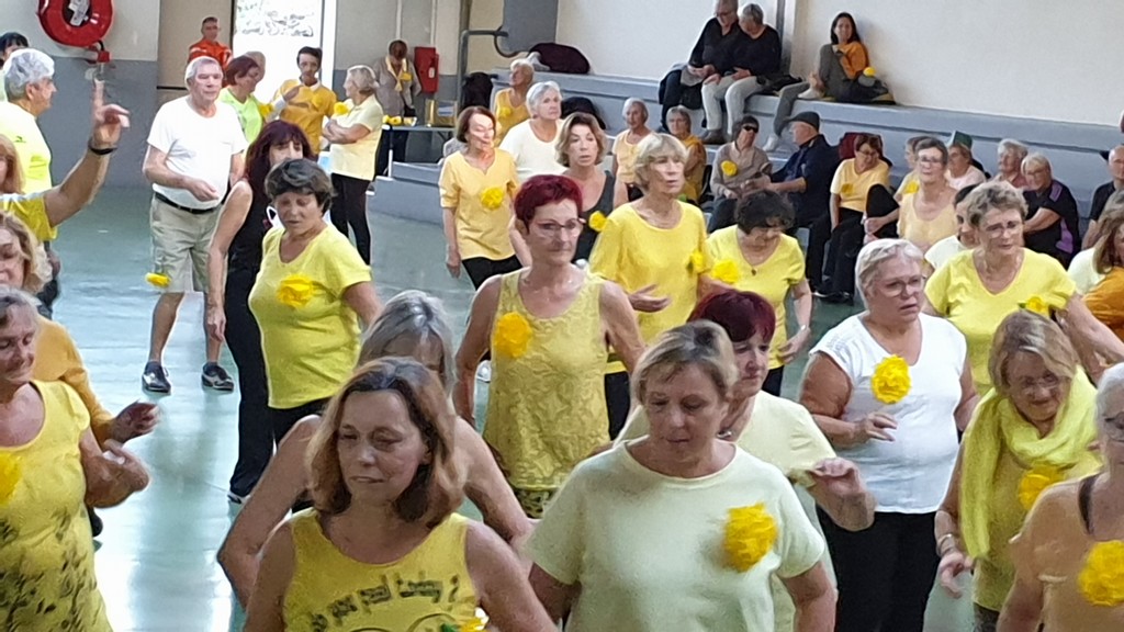 92-téléthon 2019 - Ceyreste